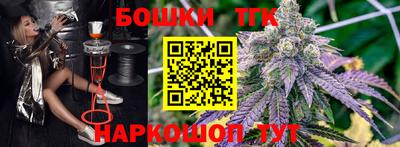 кокс Гатчина