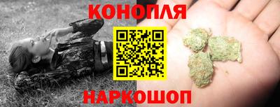 кокс Гатчина
