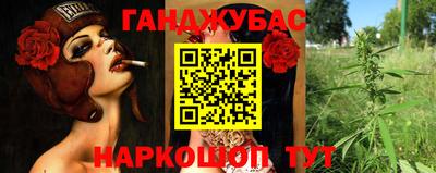спайс Гай