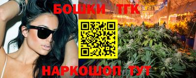 кокс Гатчина