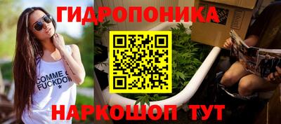 спайс Гай