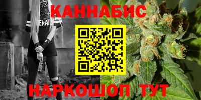 кокс Гатчина