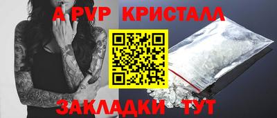 кокс Гатчина