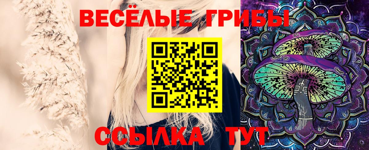 Псилоцибиновые грибы Psilocybine cubensis Железногорск