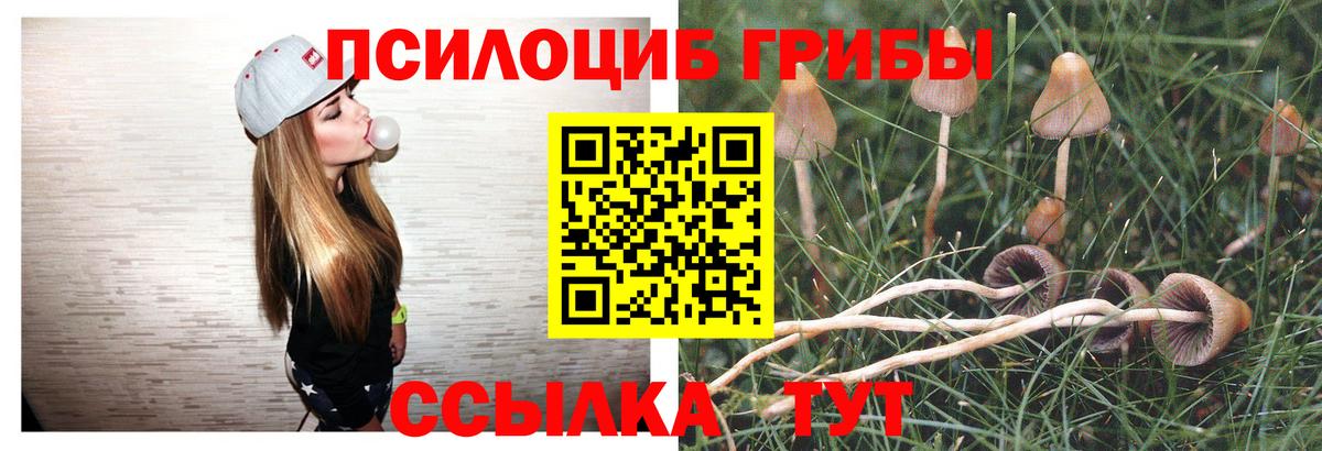 Галлюциногенные грибы Psilocybe  Галлюциногенные грибы MAGIC MUSHROOMS  Железногорск  Вход с VPN 